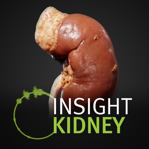 INSIGHT KIDNEY app icon