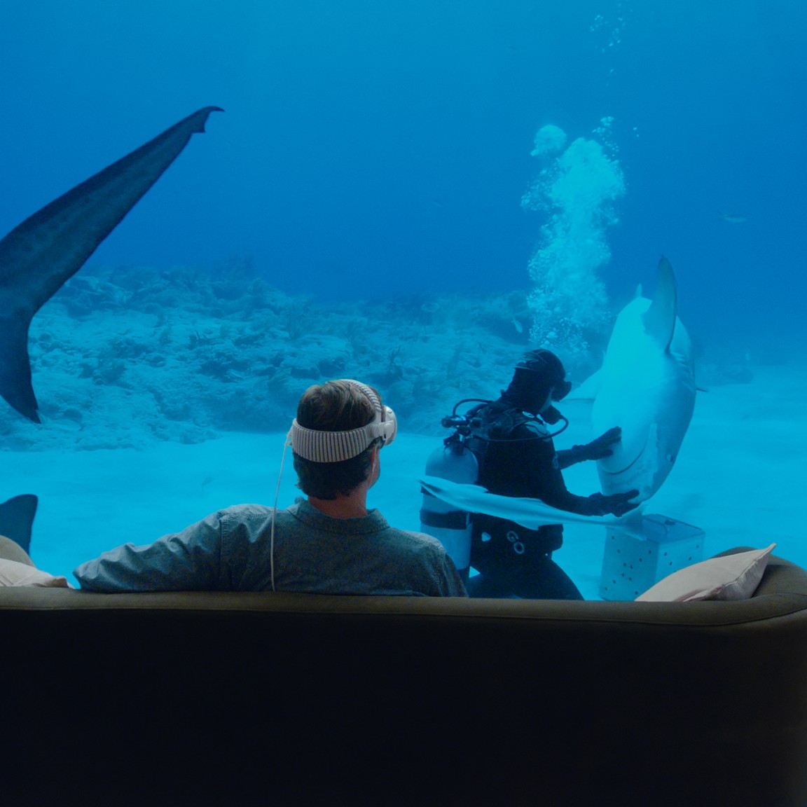Apple promotional image of a Vision Pro wearer on a sofa surrounded by an underwater scene with sharks and a diver