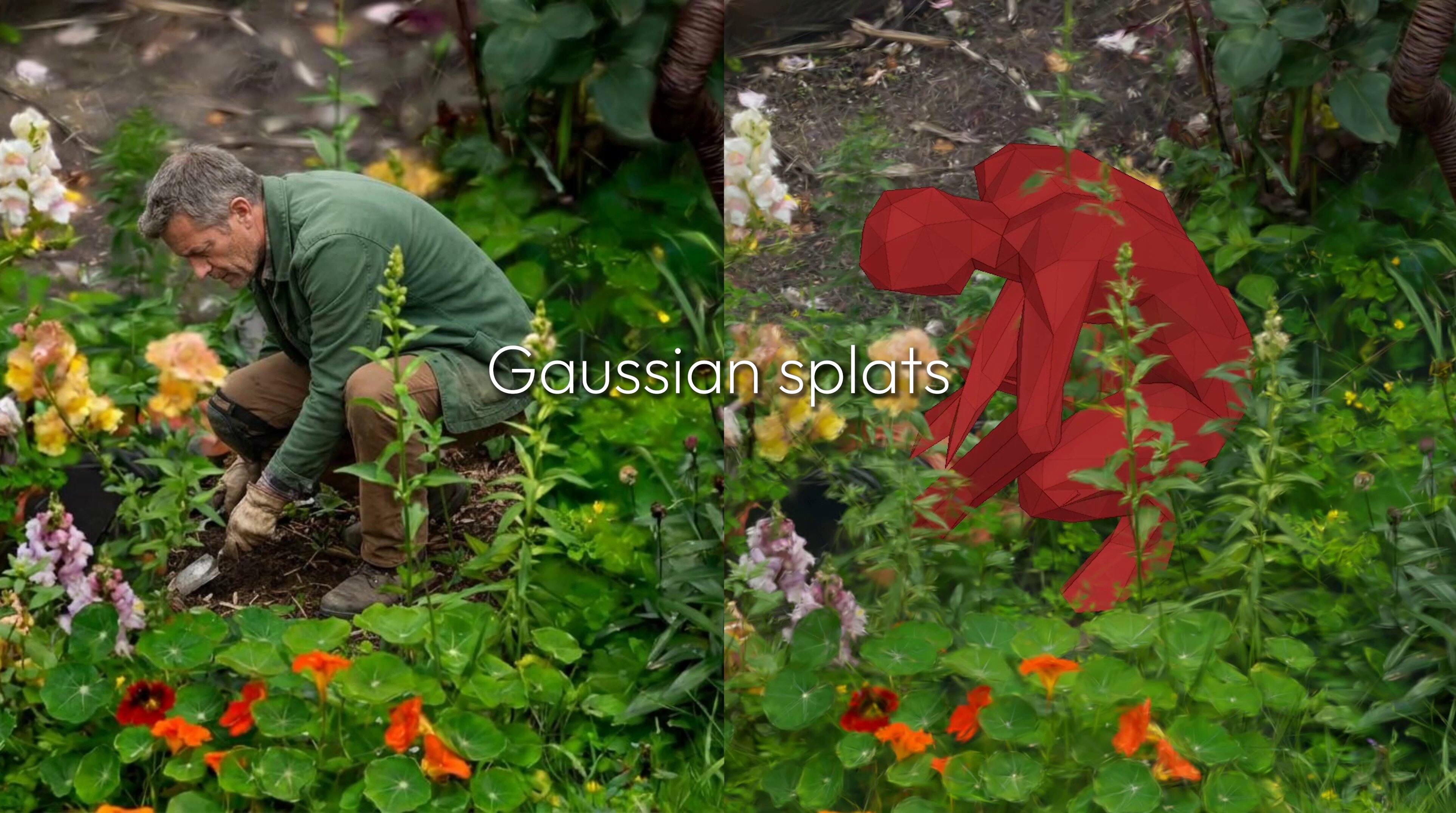 A gardener beside a Gaussian splat preview of the same person in a flower-filled garden