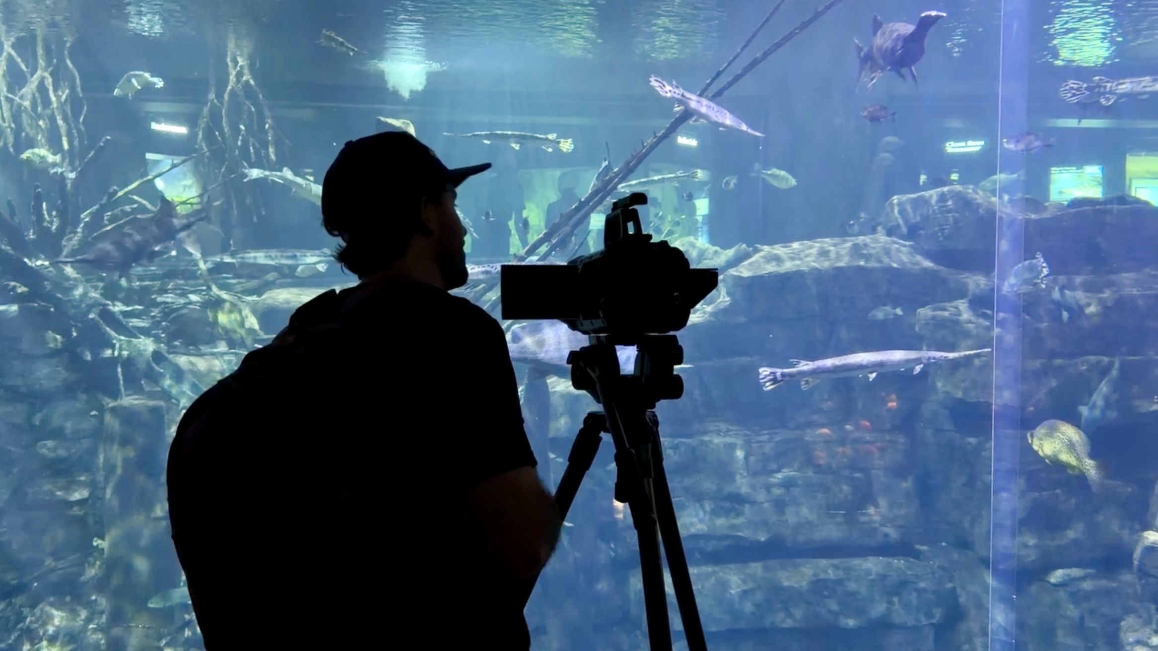 A camera operator uses a Blackmagic URSA Cine Immersive camera to film a large tank at the Tennessee Aquarium