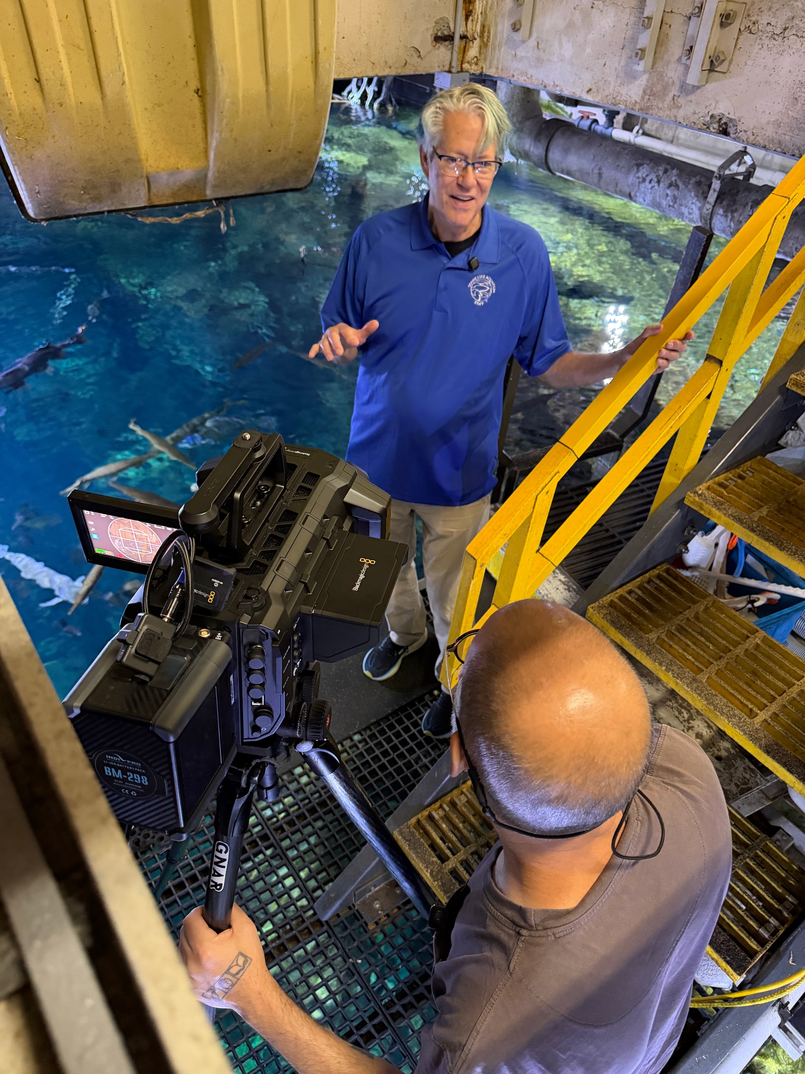 A Blackmagic URSA Cine Immersive camera films above a large tank at the Tennessee Aquarium
